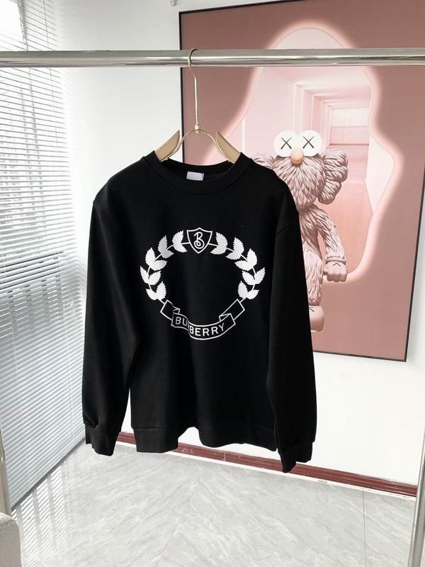 Burberry Sweatshirt Wmns ID:20241204-44